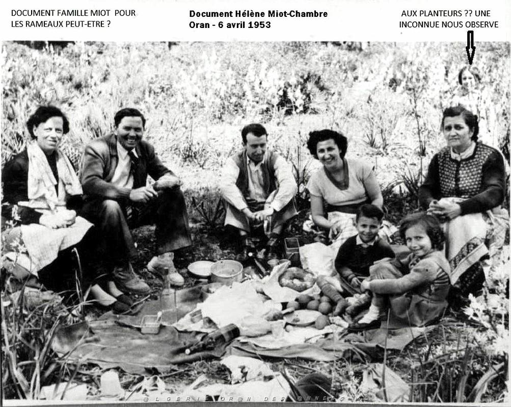 Oran- SDV- 5042- 1953 04 06  Je ne sais plus si c est aux Planteurs ou a M SILA.JPG